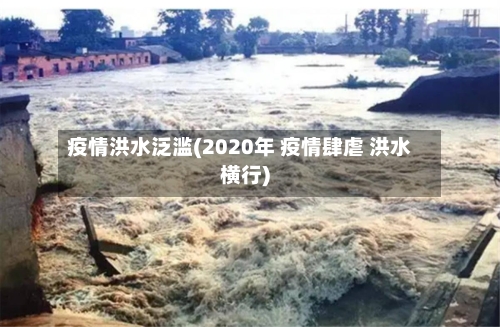 疫情洪水泛滥(2020年 疫情肆虐 洪水横行)-第2张图片