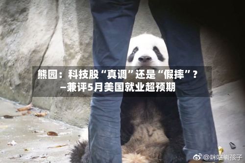 熊园：科技股“真调	”还是“假摔”？—兼评5月美国就业超预期-第2张图片