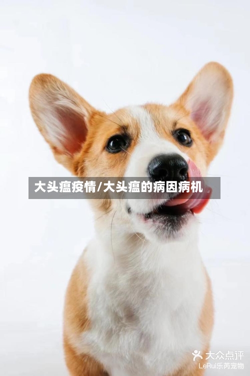 大头瘟疫情/大头瘟的病因病机-第2张图片
