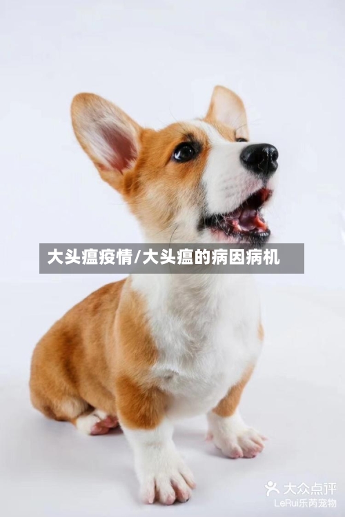 大头瘟疫情/大头瘟的病因病机