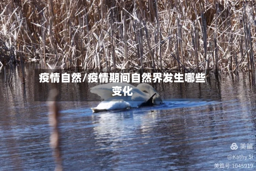 疫情自然/疫情期间自然界发生哪些变化-第2张图片