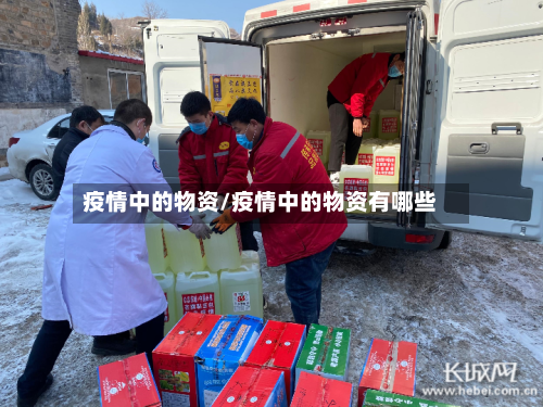 疫情中的物资/疫情中的物资有哪些-第2张图片