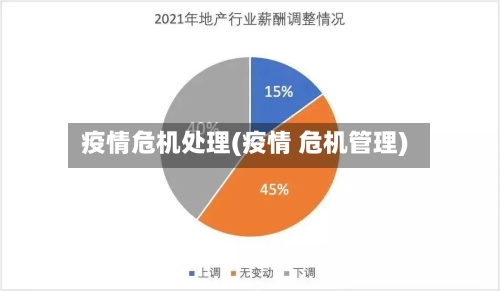 疫情危机处理(疫情 危机管理)